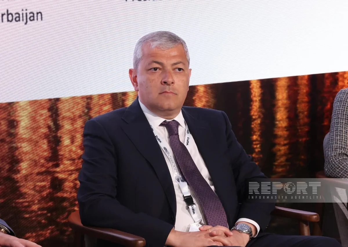 Aydin Karimov: Azerbaijan achieves goals of Great Return State Program