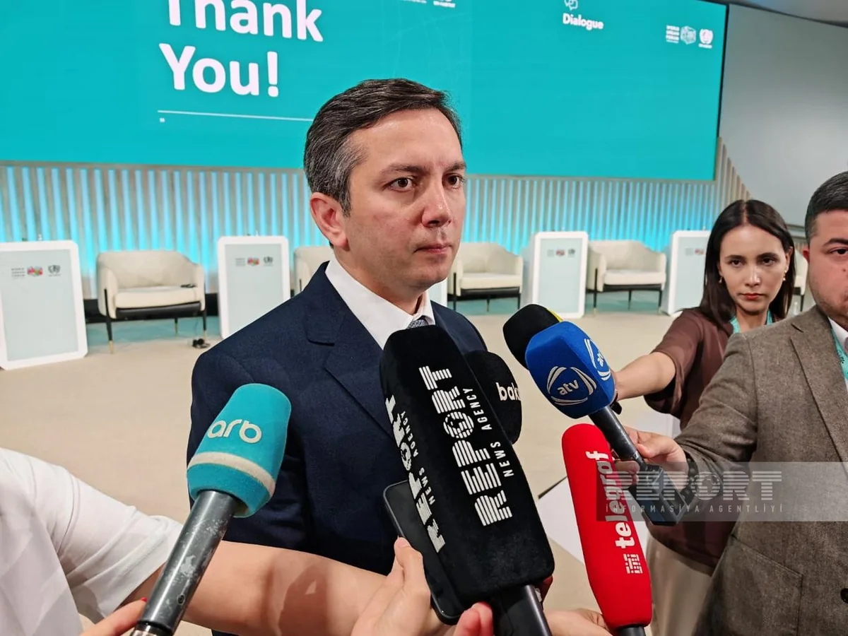 Rafiyev: Int'l community must help humanitarian demining activities