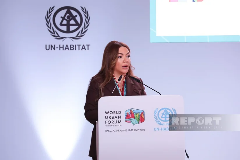 Aygün Əliyeva: Davamlı inkişaf standartlarının tətbiqi dövlət və cəmiyyətin koordinasiyasını tələb edir