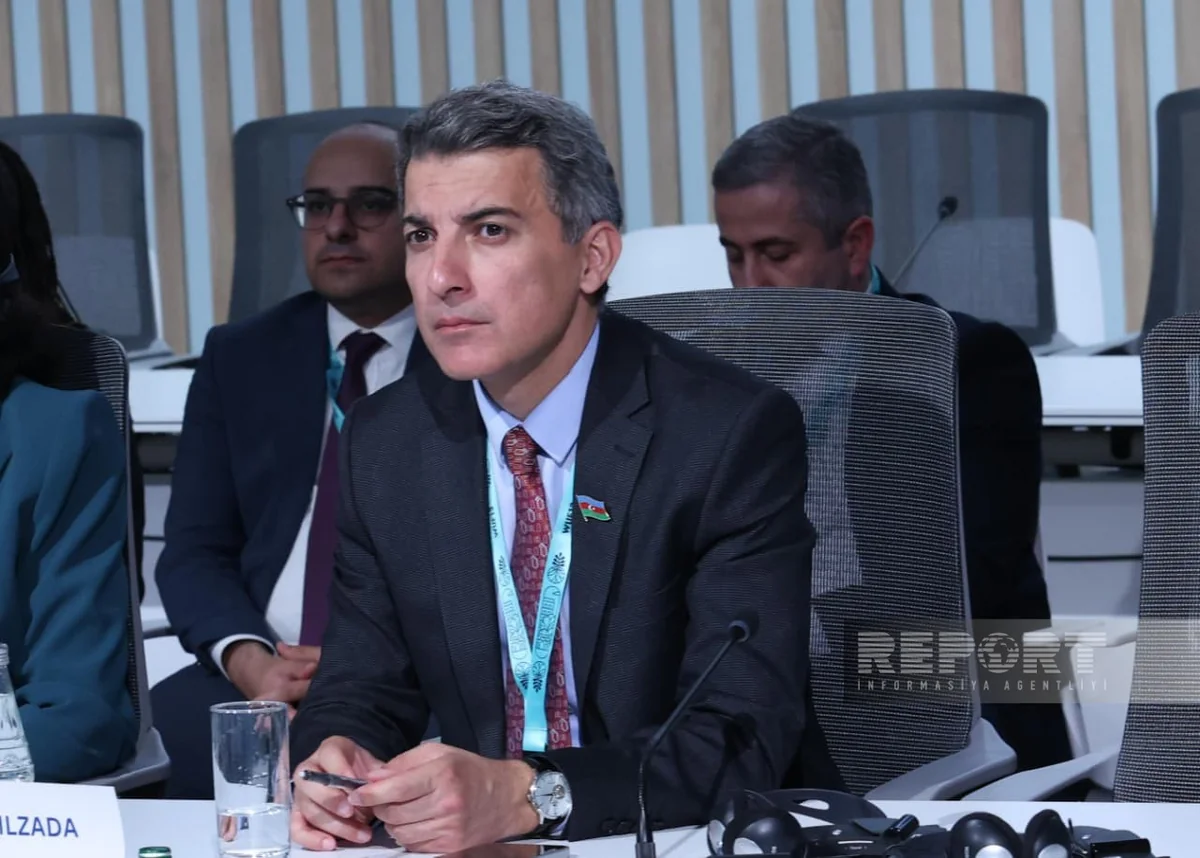 Fariz Ismayilzada: ADA University project could become model for other countries