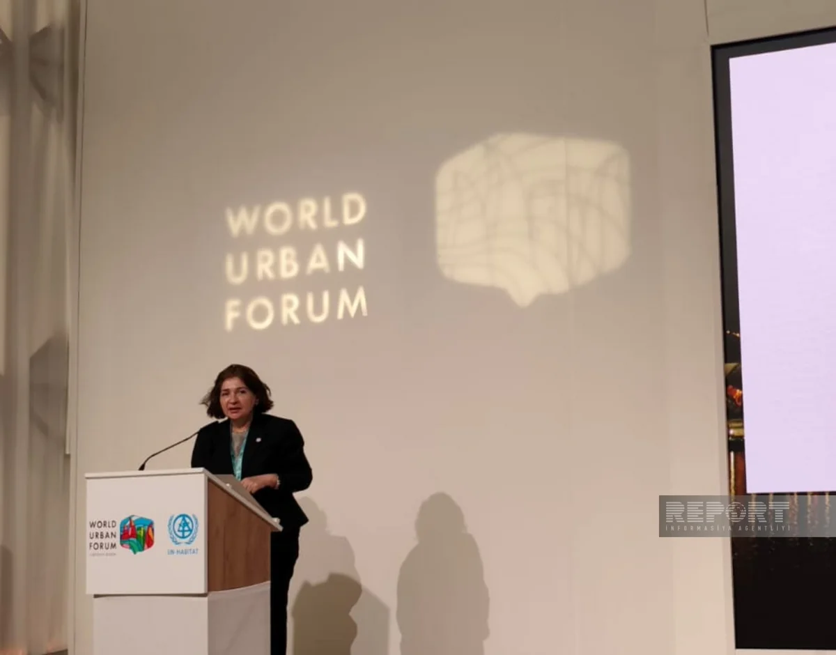 Hajiyeva: Blind urbanization harms ecology of major cities