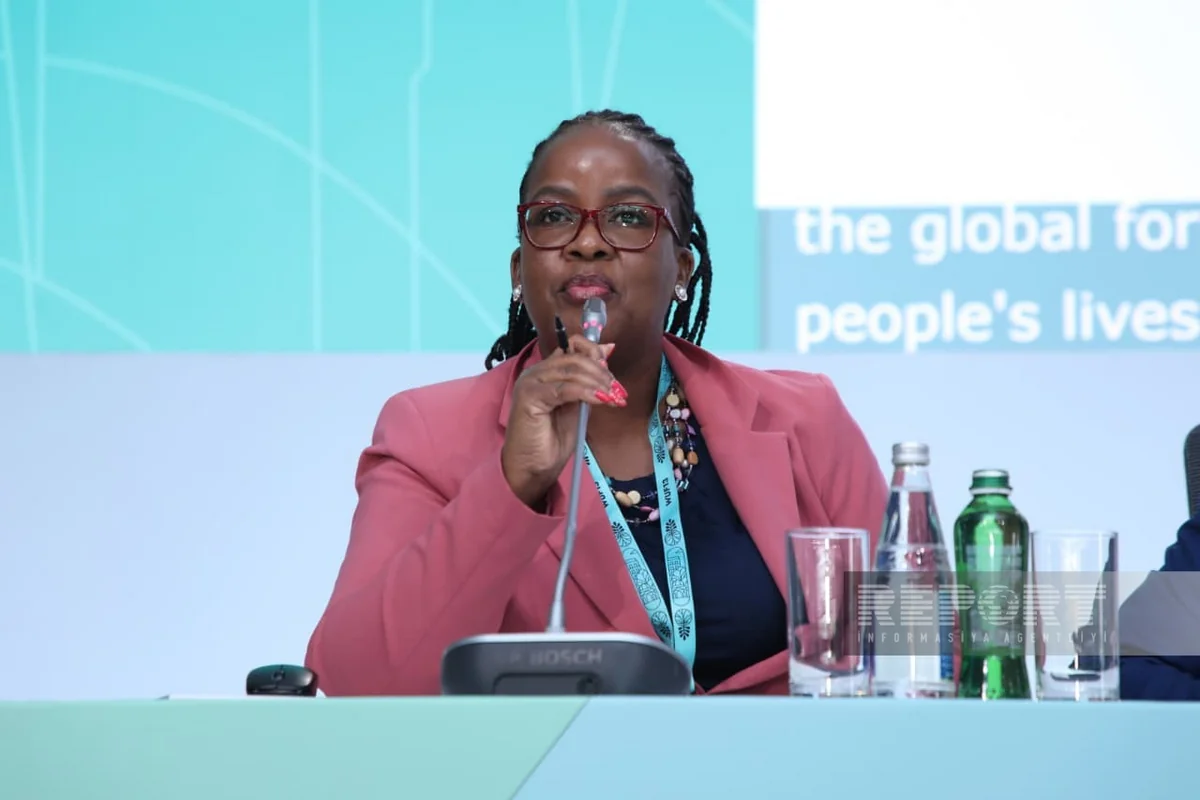 Expert: Over half of Africa's population lives in informal settlements