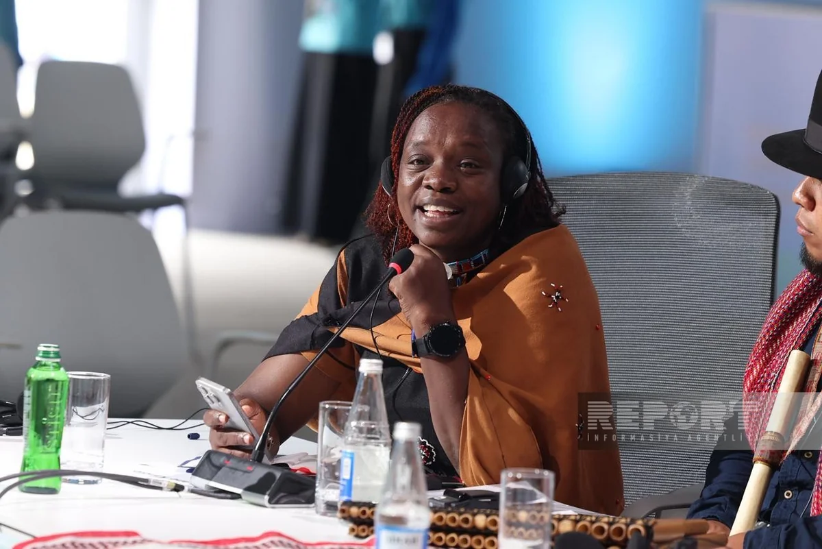 Keniyalı nümayəndə: İnkişaf uğrunda mübarizə aparan Afrika xalqları müxtəlif problemlərlə üzləşirlər