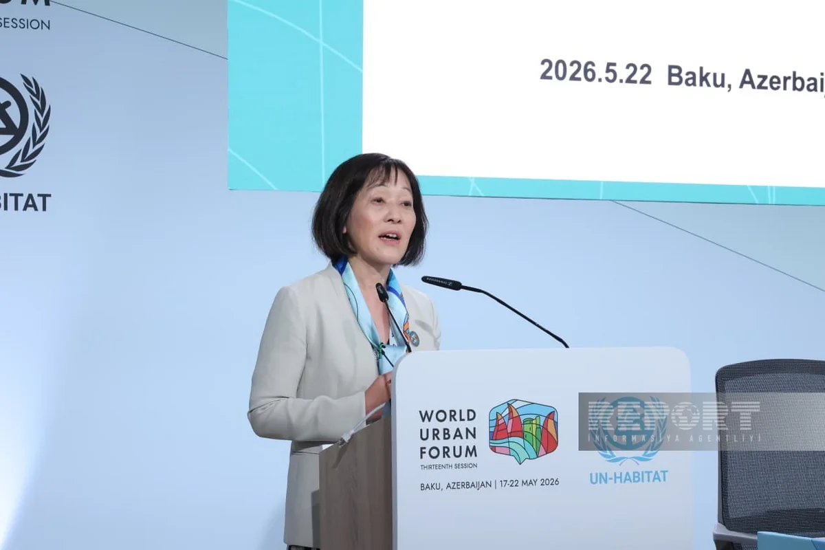 Kazuko Ishigaki at WUF13: UN needs to provide support to local authorities