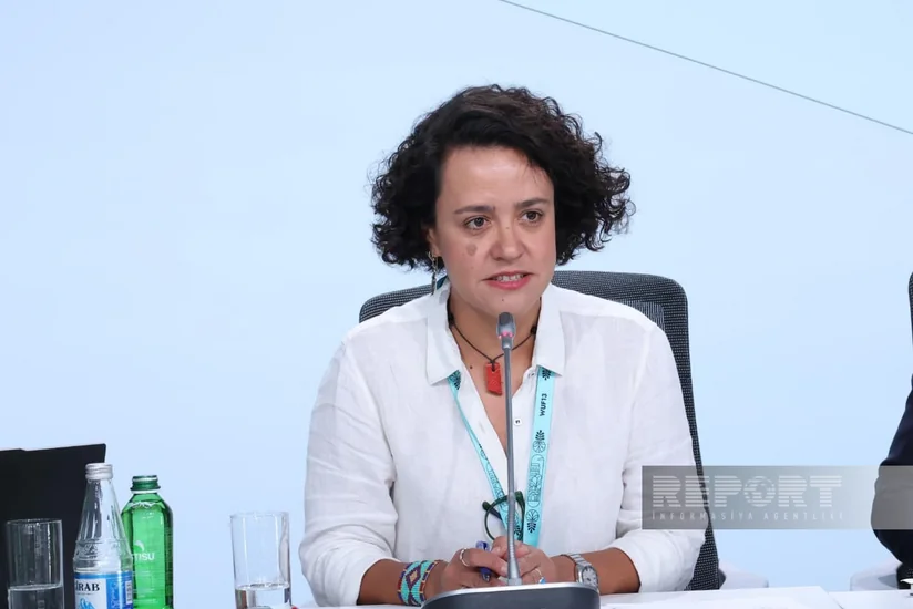 Lana Barreto: Destruction of cadastral archives in Gaza complicates restoration of housing rights