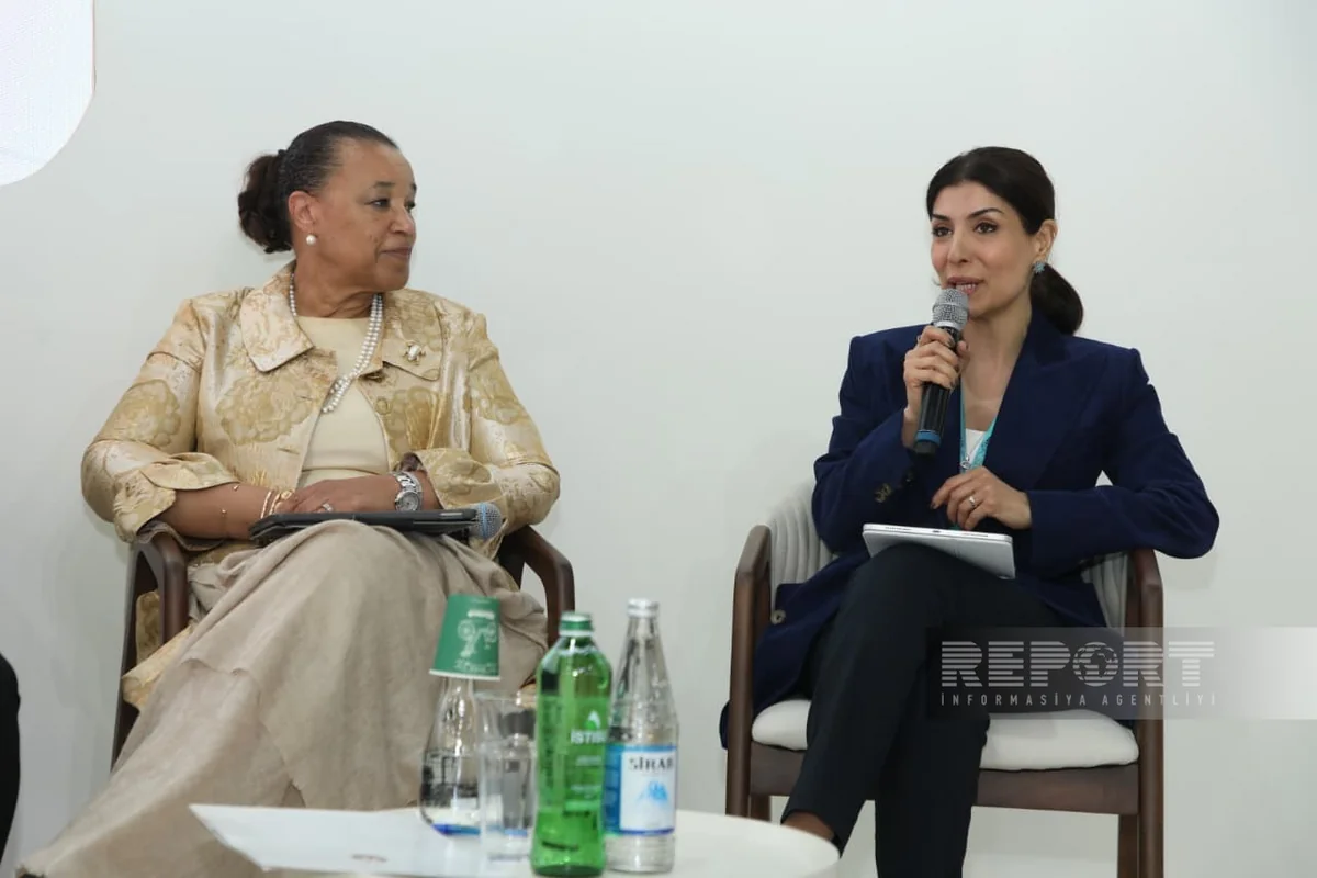 MP: Azerbaijan prioritizes smart ecosystems in Karabakh's reconstruction