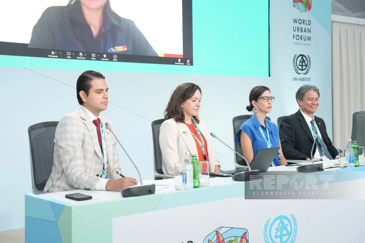 Expert: Policy fragmentation key challenge in Latin America, Caribbean