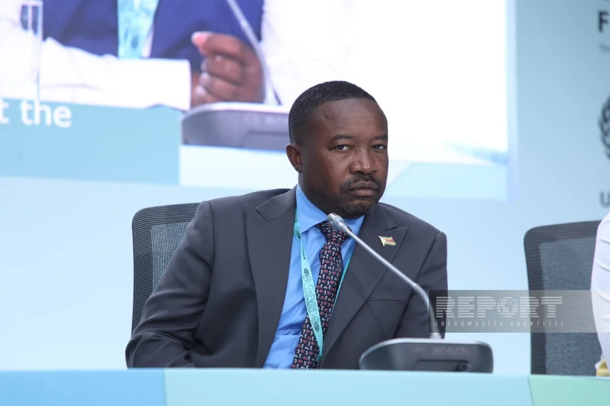 Harare's mayor identifies funding as most vulnerable area in African cities