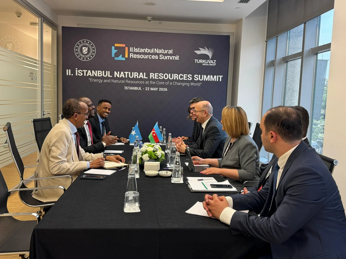 Azerbaijan, Somalia discuss energy cooperation working group