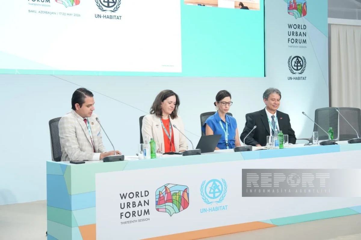 Expert: Climate disasters in Latin America hit economies hard