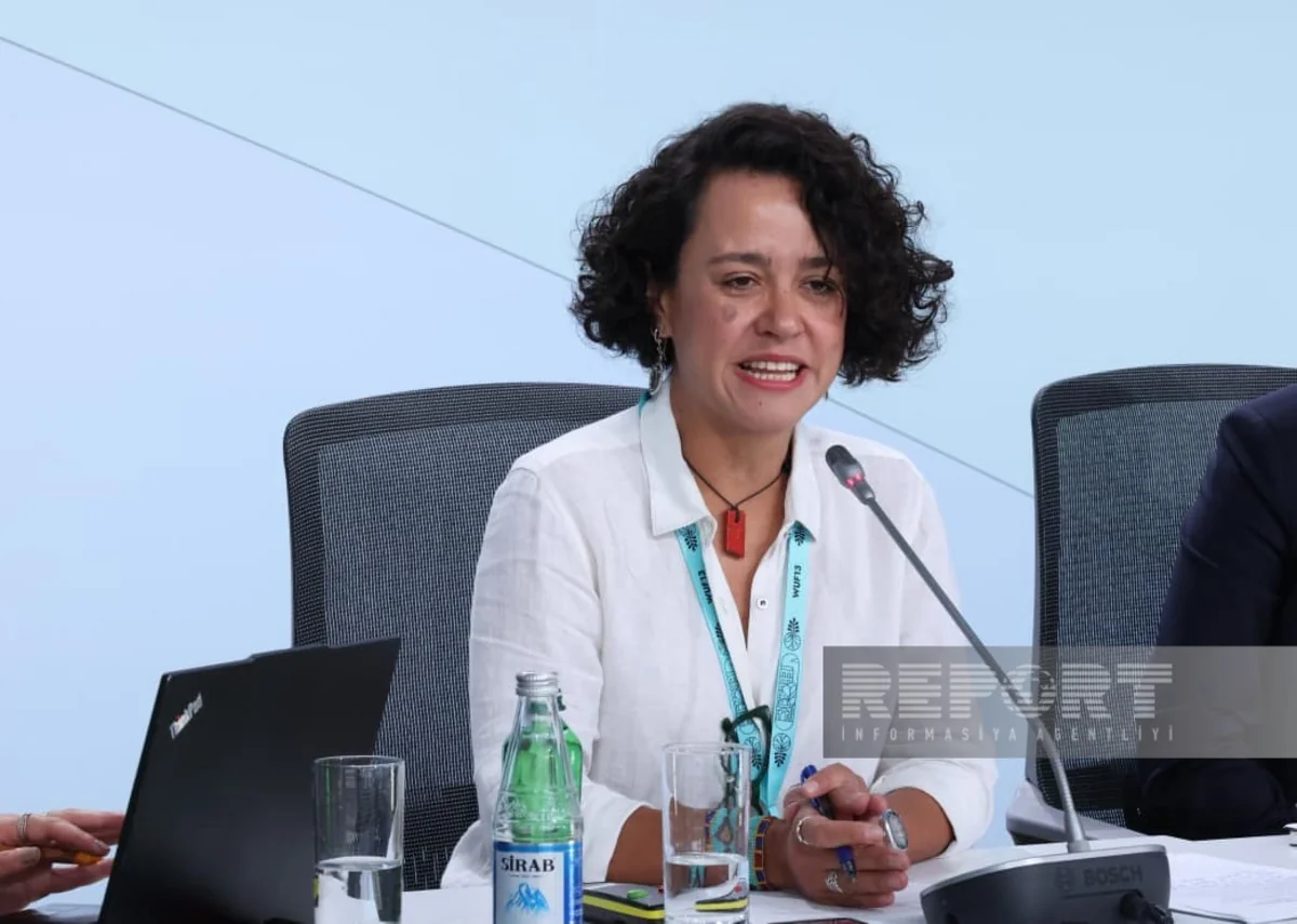 Lana Barreto: Gaza's future is being discussed without local communities' involvement