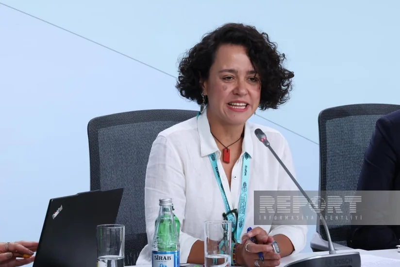 Lana Barreto: Gaza Strip recovery will require over $70 billion