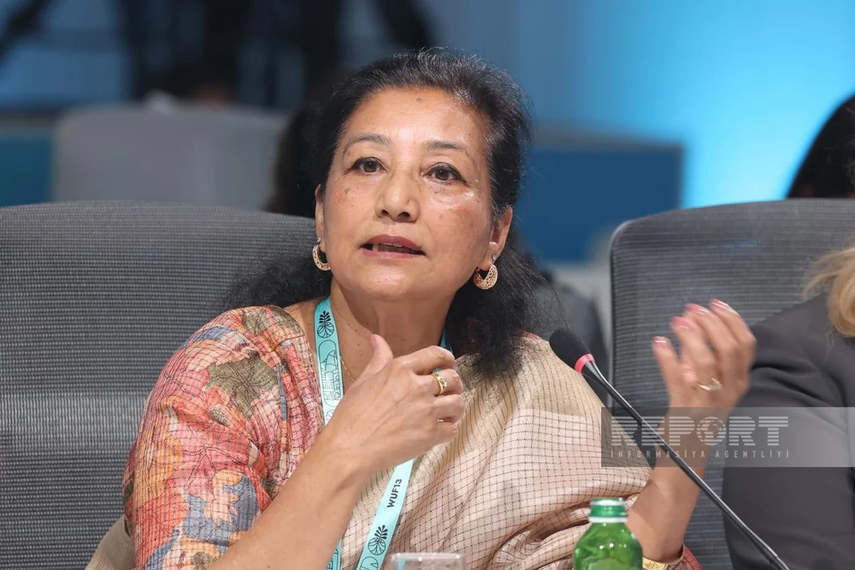 Expert: Discussions will help people understand New Urban Agenda