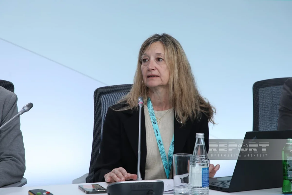 Spanish expert: Governance and financing mechanisms play key role in urban development