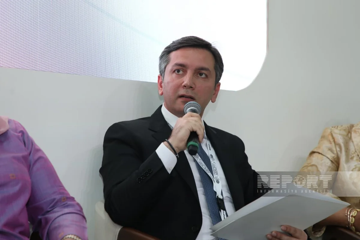 Yalchin Rafiyev: International financing must be expanded to provide people with housing
