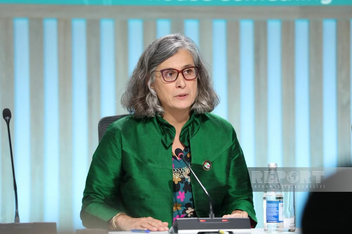 Rossbach: Azerbaijan's organization and leadership at WUF13 deserve praise