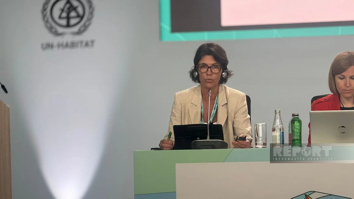 Brazil's rep at WUF13: Country's housing crisis driven by its metropolitan dimension