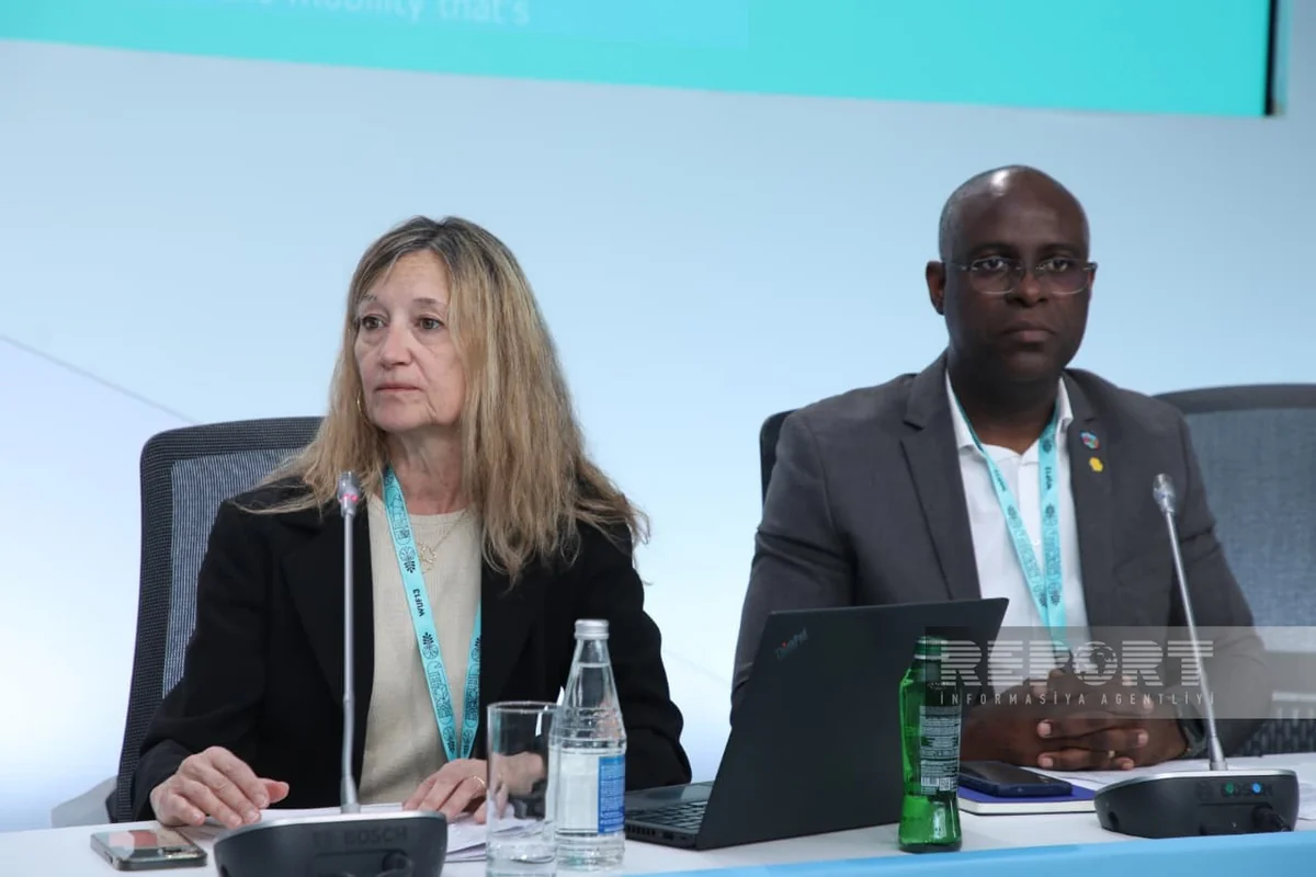 Elisabet Amell: All housing projects should be implemented based on a single strategy