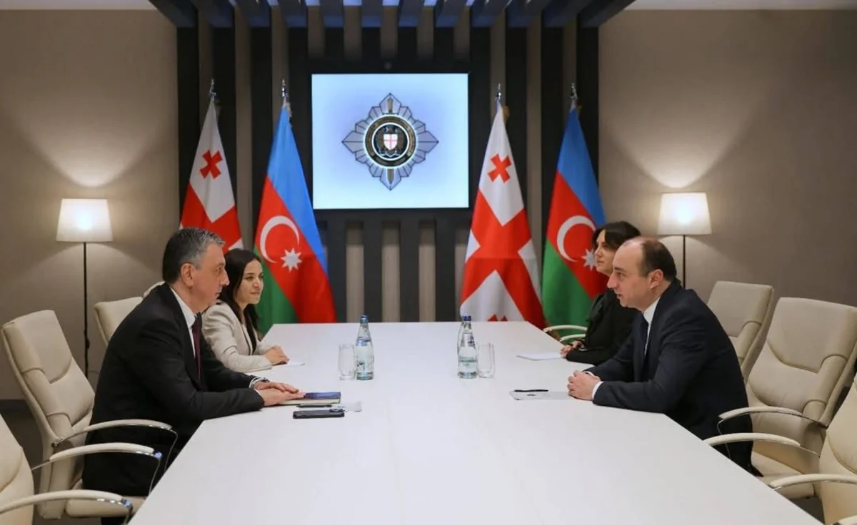 Azərbaycan səfiri Gürcüstan Dövlət Təhlükəsizlik Xidmətinin yeni rəhbəri ilə görüşüb
