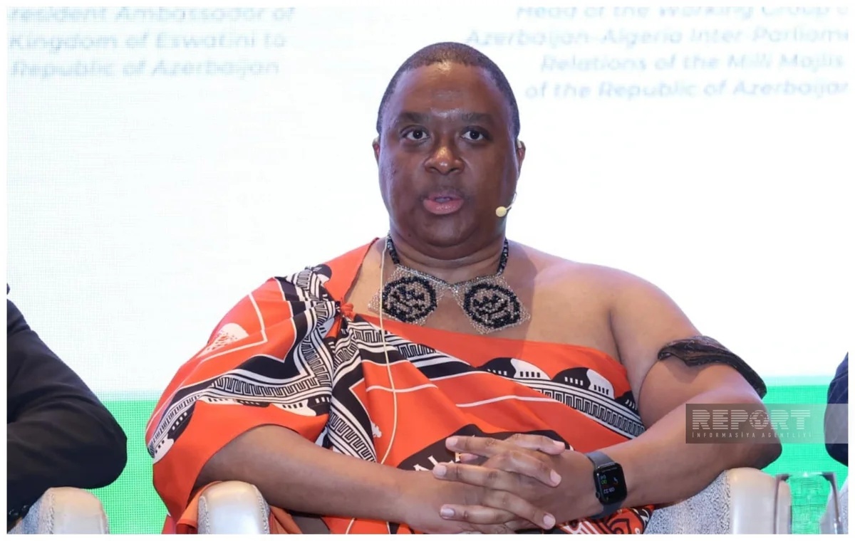 Mngomezulu: Digitalization crucial for development of African countries