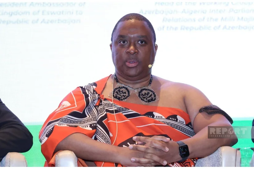 Mnqomezulu: Azərbaycanın rəqəmsal transformasiya təcrübəsi Afrikanın inkişafına töhfə verə bilər