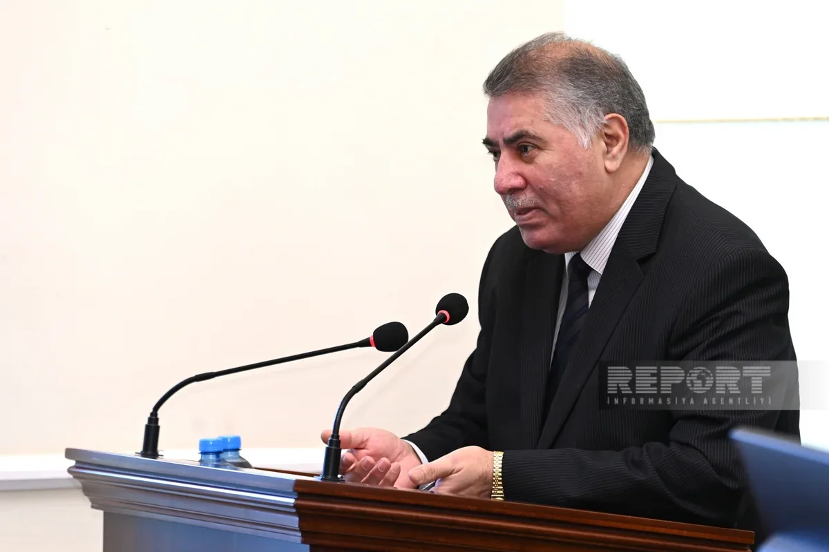Professor: Bu gün Azərbaycan dilinə ən böyük zərəri publisistik üslub vurur