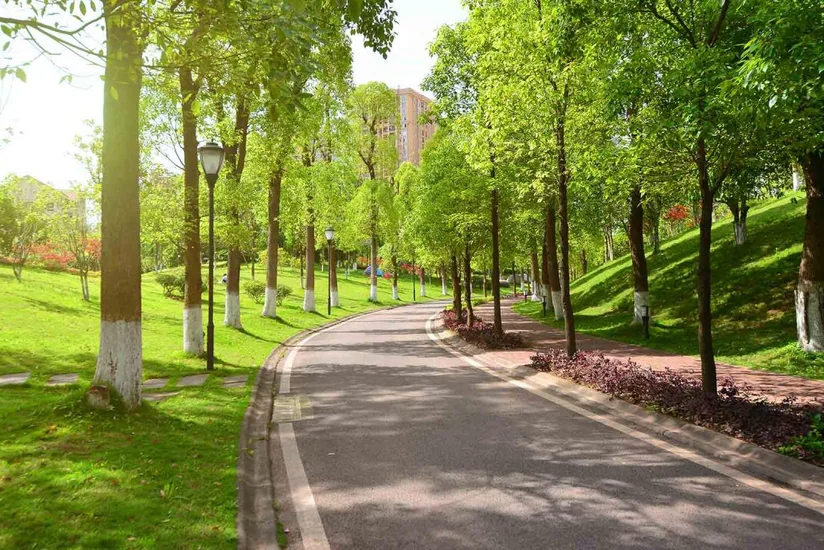 Gürcüstan Azərbaycanla sərhəd zonasında yeni milli park yaradır