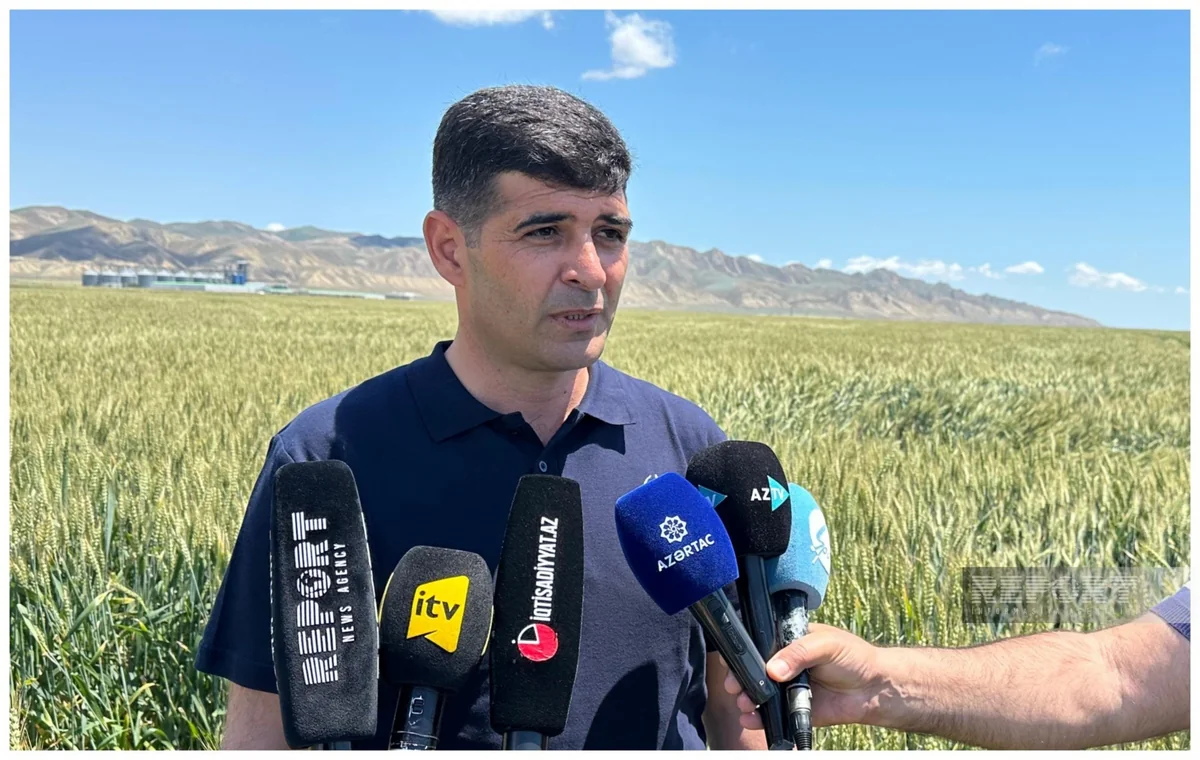 Azərbaycanın 40 rayonunda əkin sahələrinin aprobasiyası prosesi aparılır