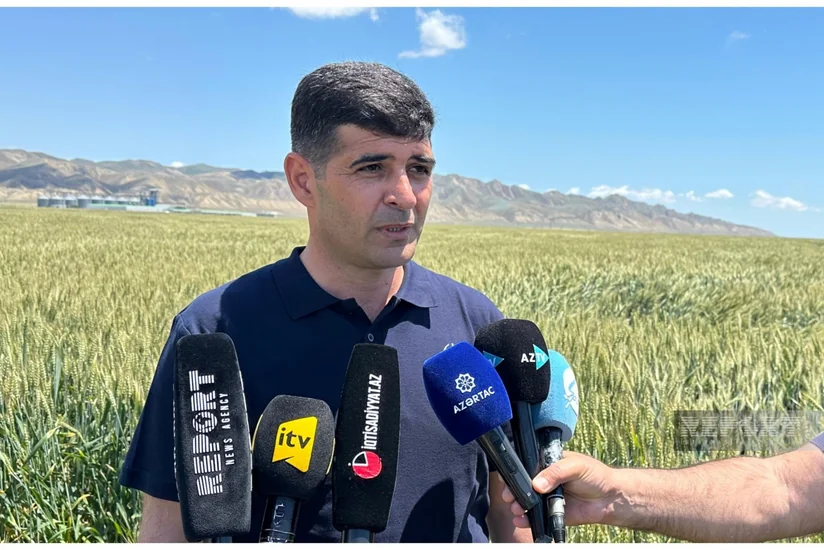 Azərbaycanın 40 rayonunda əkin sahələrinin aprobasiyası prosesi aparılır