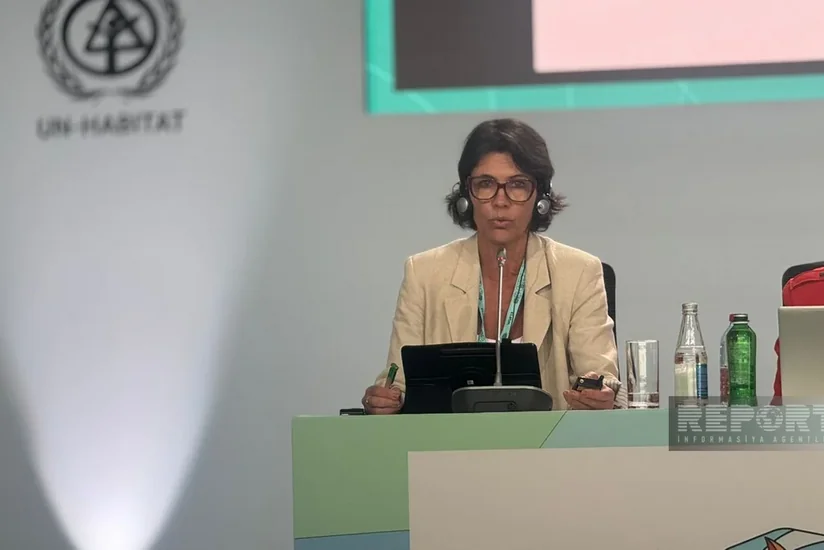 Braziliya rəsmisi: İctimai nəqliyyat mərkəzli şəhər inkişafına üstünlük veririk