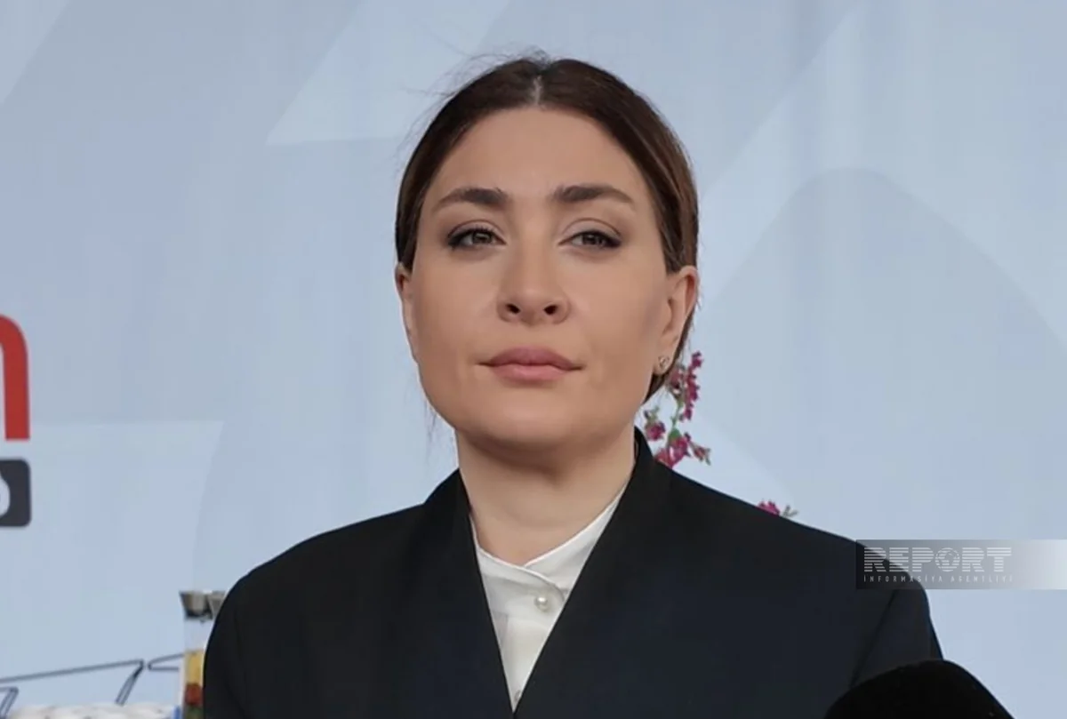 Nazir müavini: Bakı-Tbilisi dəmir yolu əlaqəsinin bərpası iqtisadi və turizm əlaqələrini gücləndirəcək
