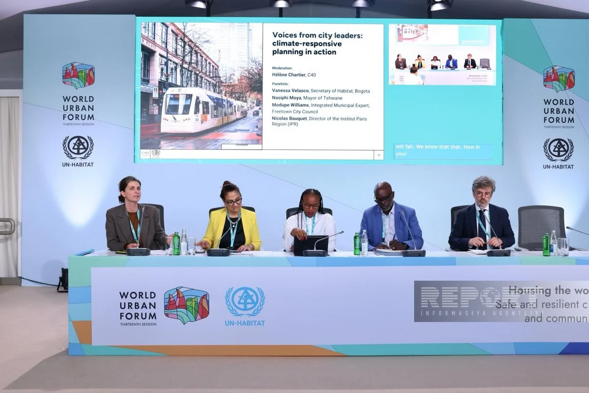 Modupe Williams: Freetown sees cable car as solution to city's transportation woes