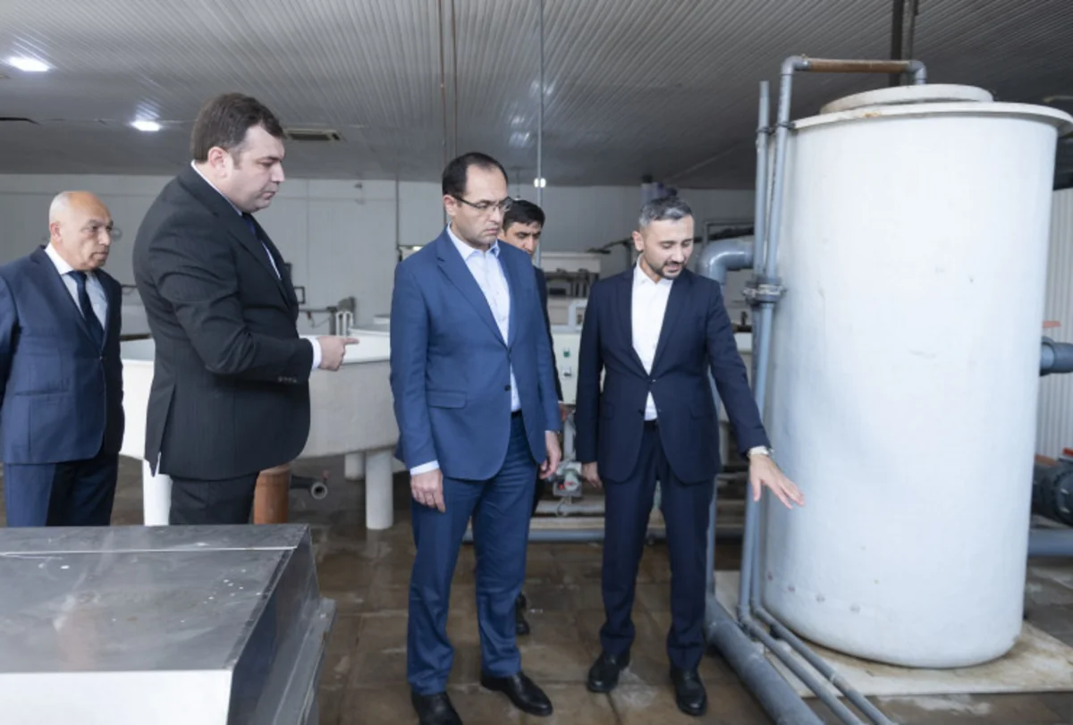 Məcnun Məmmədov Neftçalada balıqçılıq müəssisəsinin fəaliyyətilə tanış olub