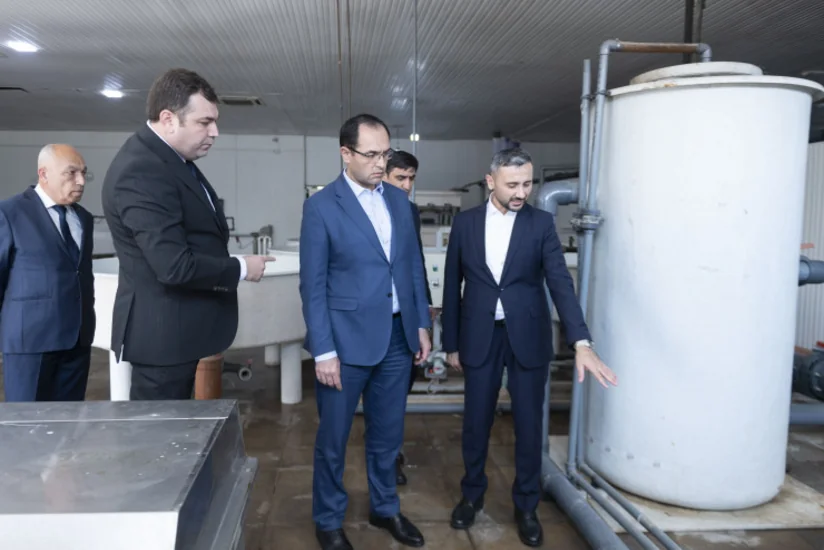 Məcnun Məmmədov Neftçalada balıqçılıq müəssisəsinin fəaliyyətilə tanış olub