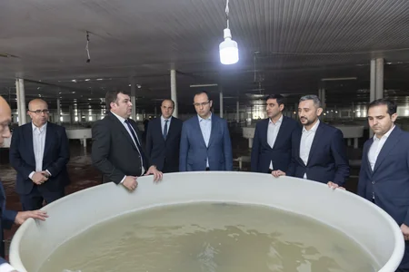Məcnun Məmmədov Neftçalada balıqçılıq müəssisəsinin fəaliyyətilə tanış olub