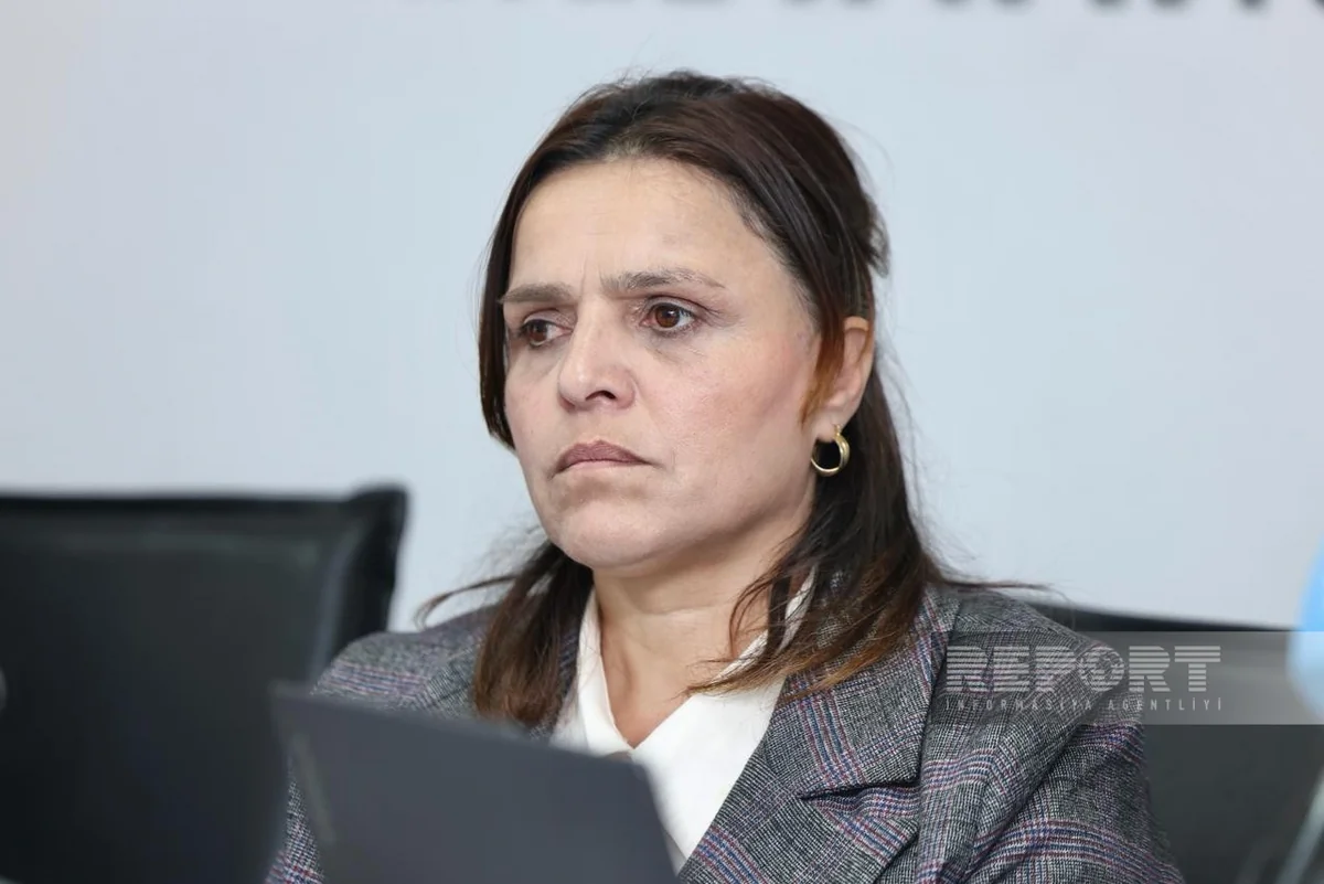 Tovuz sakini: Kim minadan yayına biləcəyini düşünürsə, ciddi şəkildə yanılır
