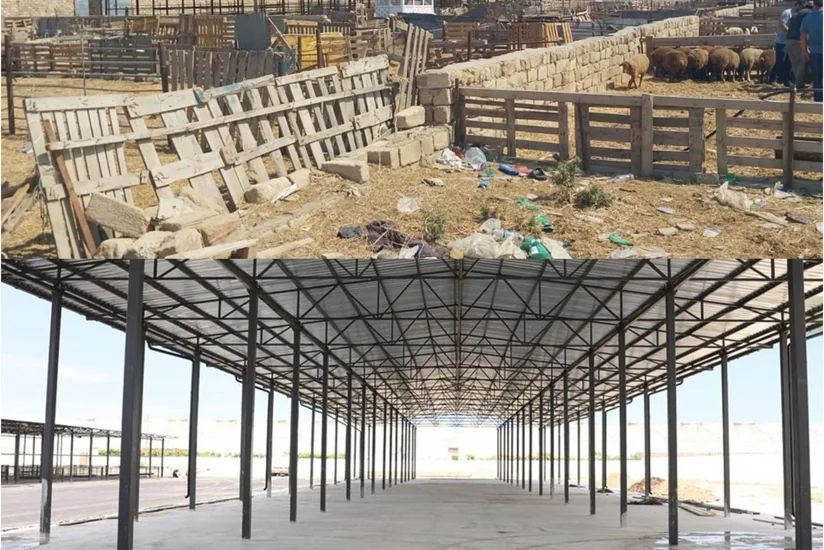 Məmmədli kəndində heyvan bazarı fəaliyyətə başlayıb