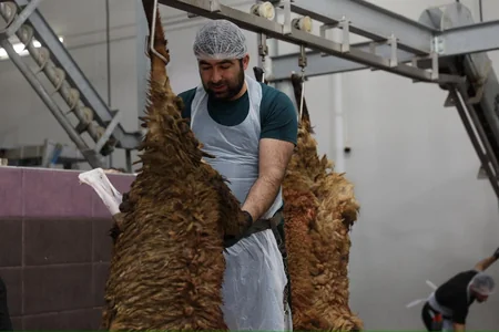AQTA: Qurban bayramı günlərində 134 ünvanda satış və kəsim xidmətləri göstərilir