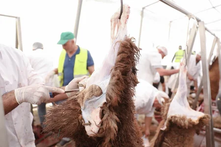 AQTA: Qurban bayramı günlərində 134 ünvanda satış və kəsim xidmətləri göstərilir