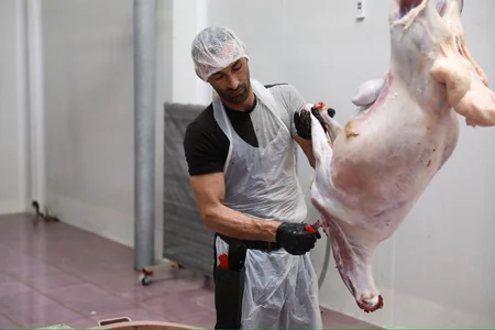 AQTA: Qurban bayramı günlərində 134 ünvanda satış və kəsim xidmətləri göstərilir