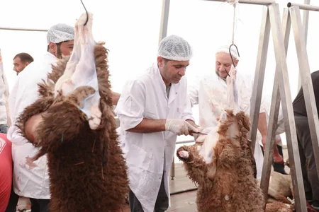 AQTA: Qurban bayramı günlərində 134 ünvanda satış və kəsim xidmətləri göstərilir