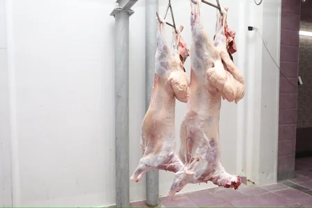 AQTA: Qurban bayramı günlərində 134 ünvanda satış və kəsim xidmətləri göstərilir