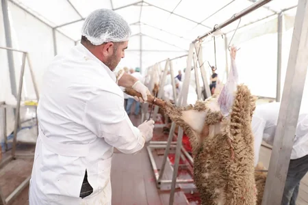AQTA: Qurban bayramı günlərində 134 ünvanda satış və kəsim xidmətləri göstərilir