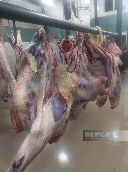 Ağdamda üç min ailəyə qurban payları çatdırılıb