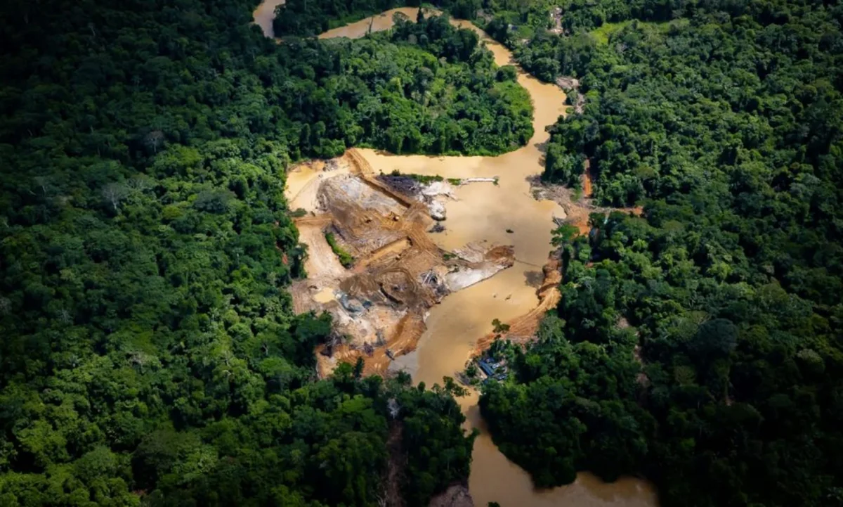 Illegal miners extract billions in Amazon gold, Greenpeace finds