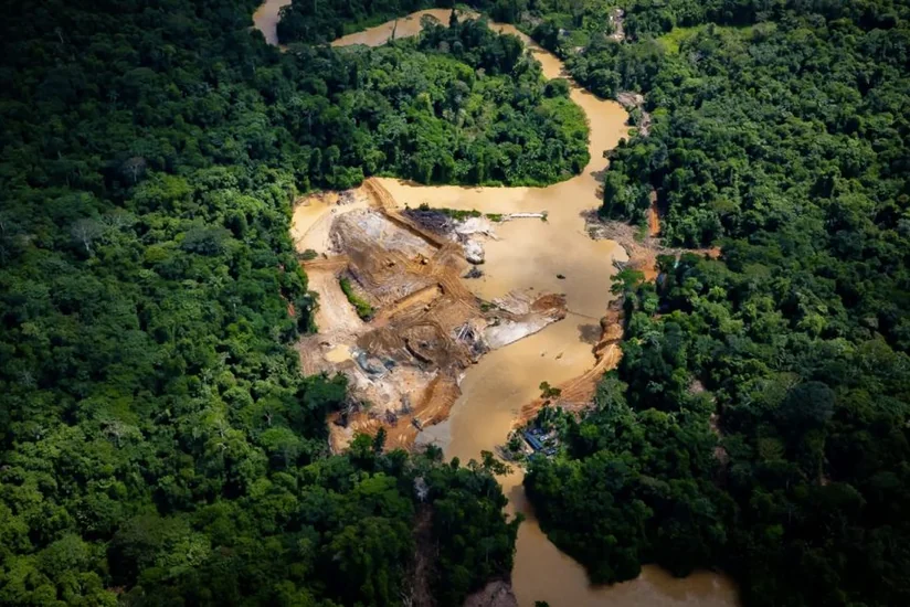 Greenpeace: В лесах Амазонии незаконно добывается золото на миллиарды долларов