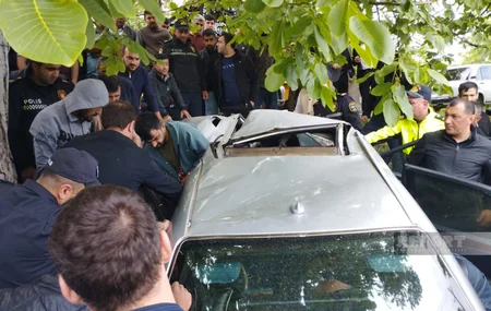 В Огузе автомобиль врезался в дерево, есть пострадавшие