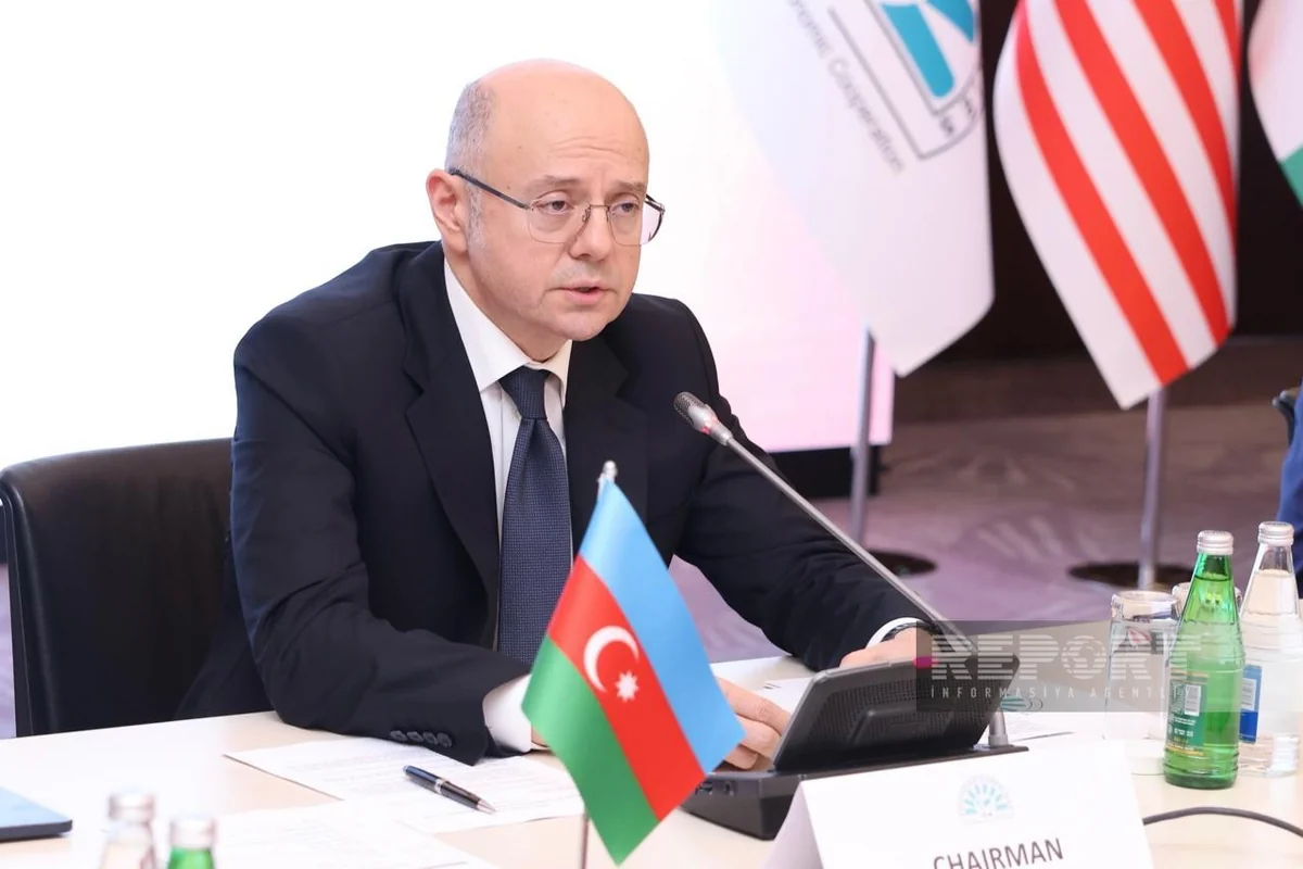 Relying on single energy source no longer sustainable, minister says