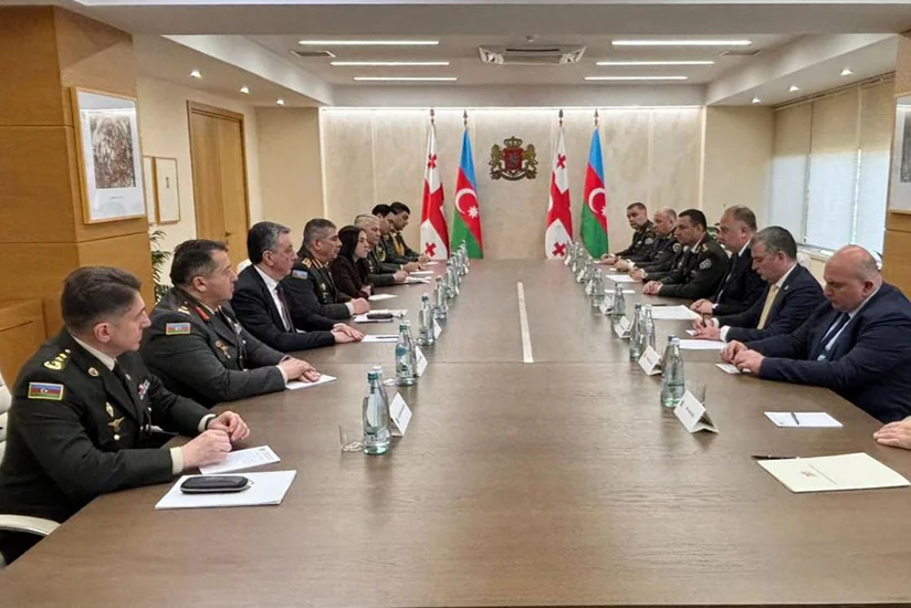 Azerbaijani, Georgian defense ministers discuss military cooperation