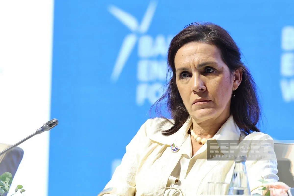Borrero: EU wants cooperation with Azerbaijan on clean electricity trade